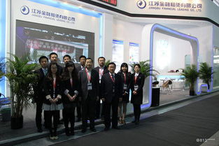 西藏金租2020年團隊負責人 政信類項目 前景怎么樣 看準網